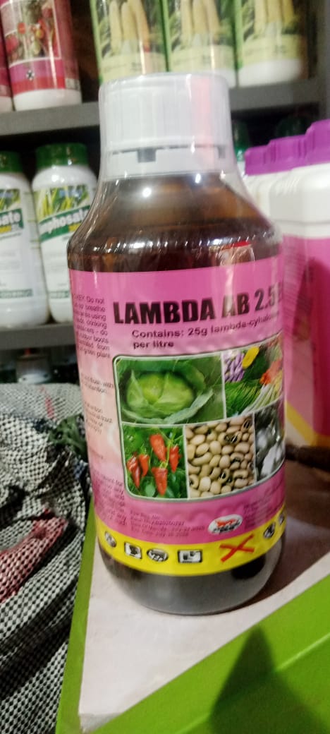 Lambda AB 2.5 EC on the shop shelf
